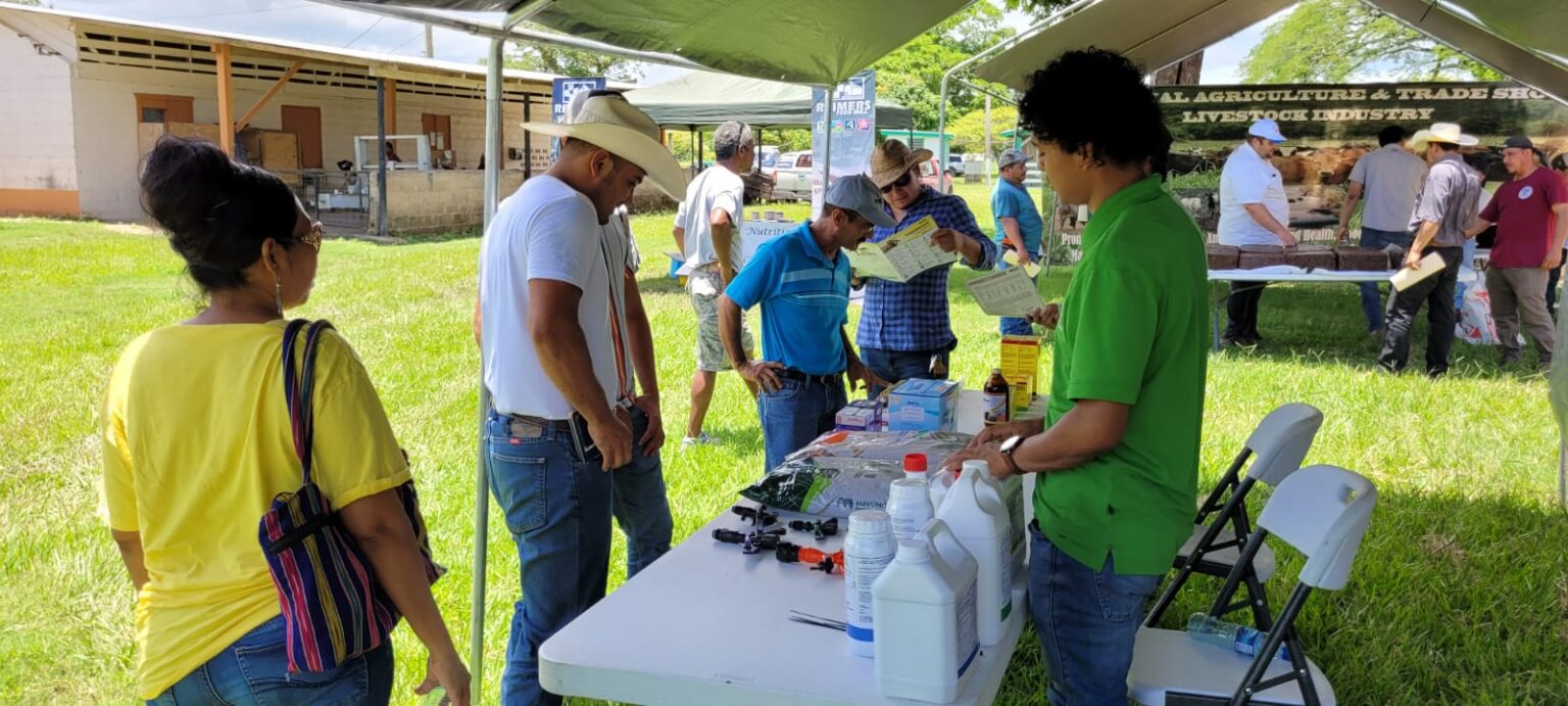 Ministry of Agriculture Hosts Improved Pasture Grass Demonstration ...