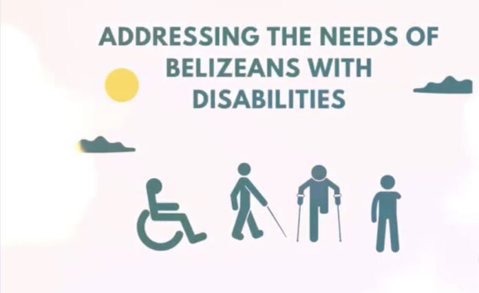 30 Disabilities Bill 2024 (1)