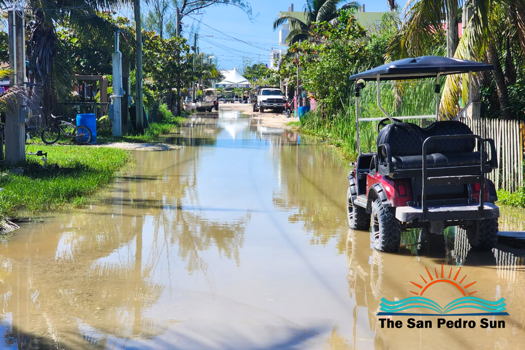 Continuous flooding emphasizes the need for proper drainage on new ...