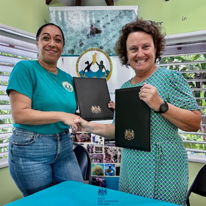 49 PR - Belize Women’s Seaweed Farmers Association Dives into Sustainable Future 1