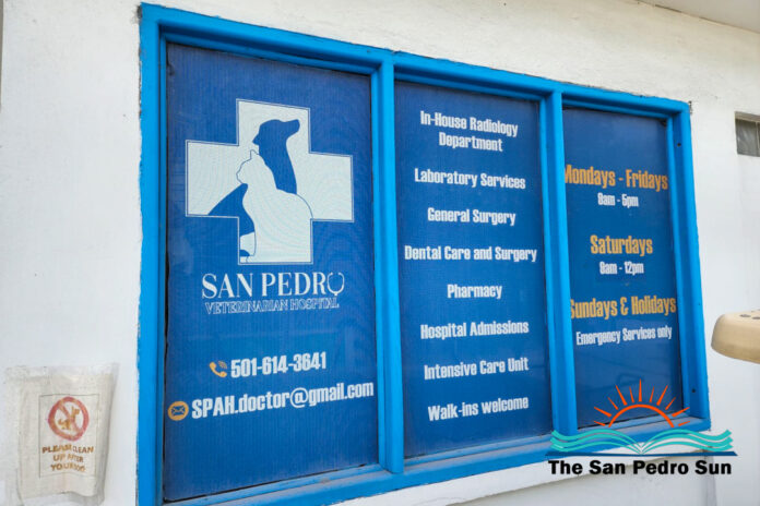 San Pedro Veterinary Hospital announces closure date-2