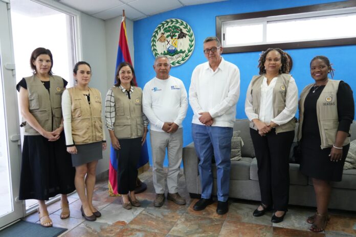 OAS Commends Belize for Peaceful Elections (3)