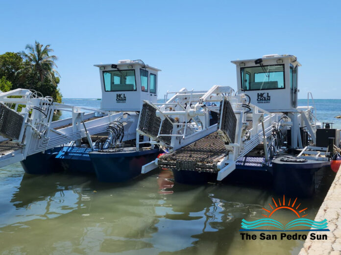 Hol Chan Marine Reserve Launches Project to Address Sargassum Invasion-3