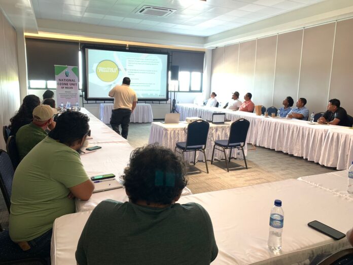 DOE Partners with Customs Brokers to Strengthen Environmental Import Compliance (3)