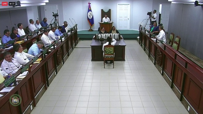 National Assembly Concludes Three-Day Debate on 2025–2026 Budget (1)
