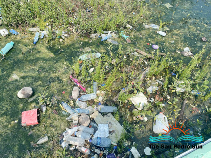 CARPHA Urges Caribbean to Beat Plastic Pollution-8