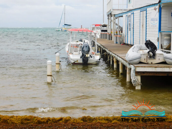 Belize Port Authority to implement new fees - Tourism stakeholders concerned-3