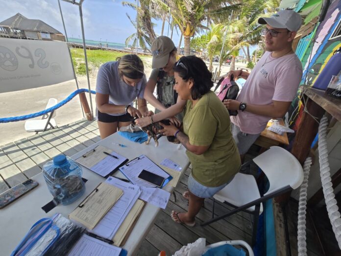 SPOTS Offers Free Vaccine Clinics Across San Pedro (6)