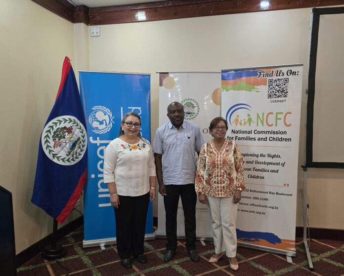 Ministry of Human Development, Family Support, and Gender Affairs Partners with UNICEF and National Parenting Committee to Strengthen Parenting Support Nationwide 2