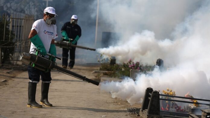 Mosquito Fumigation Ministry of Health
