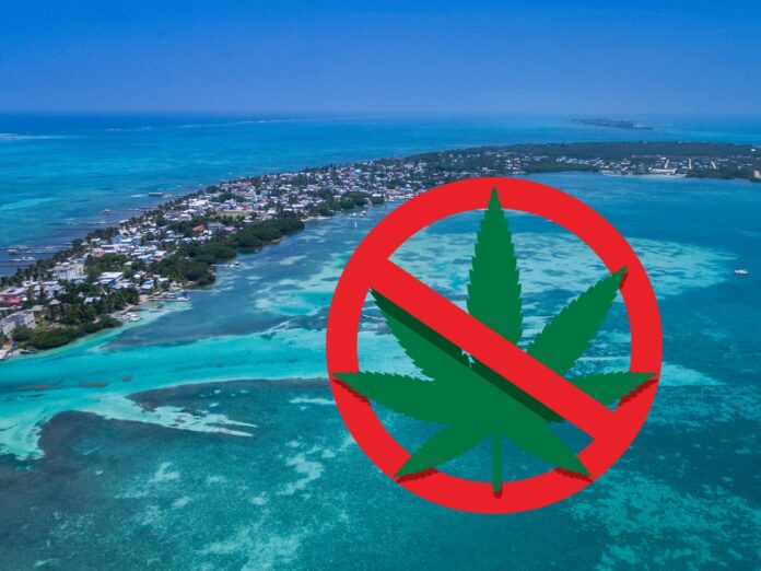 Caye Caulker Says No to Legalizing Marijuana in Historic Referendum