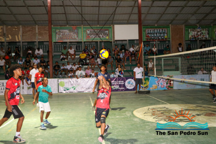Shark Cup Volleyball Tournament Heats Up in Week Three (1)-2