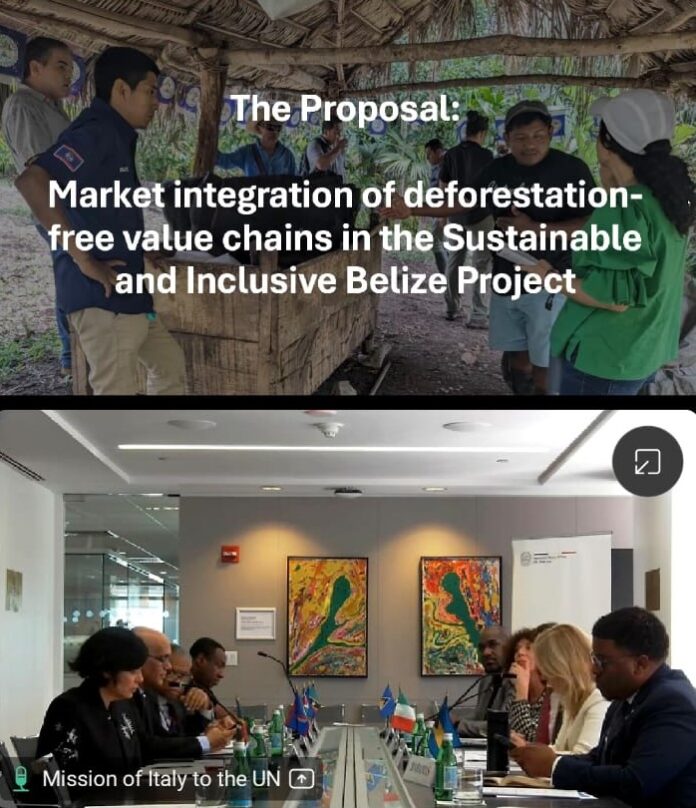 The Government of Belize Secures BZD$3 million Grant to Promote Sustainable and Deforestation-Free Agriculture 2